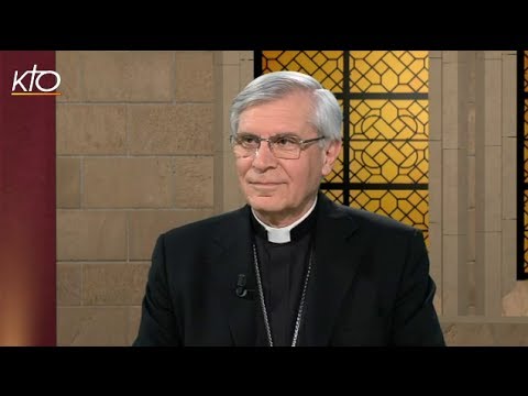 Mgr Jean-Michel di Falco Léandri - Diocèse de Gap et Embrun