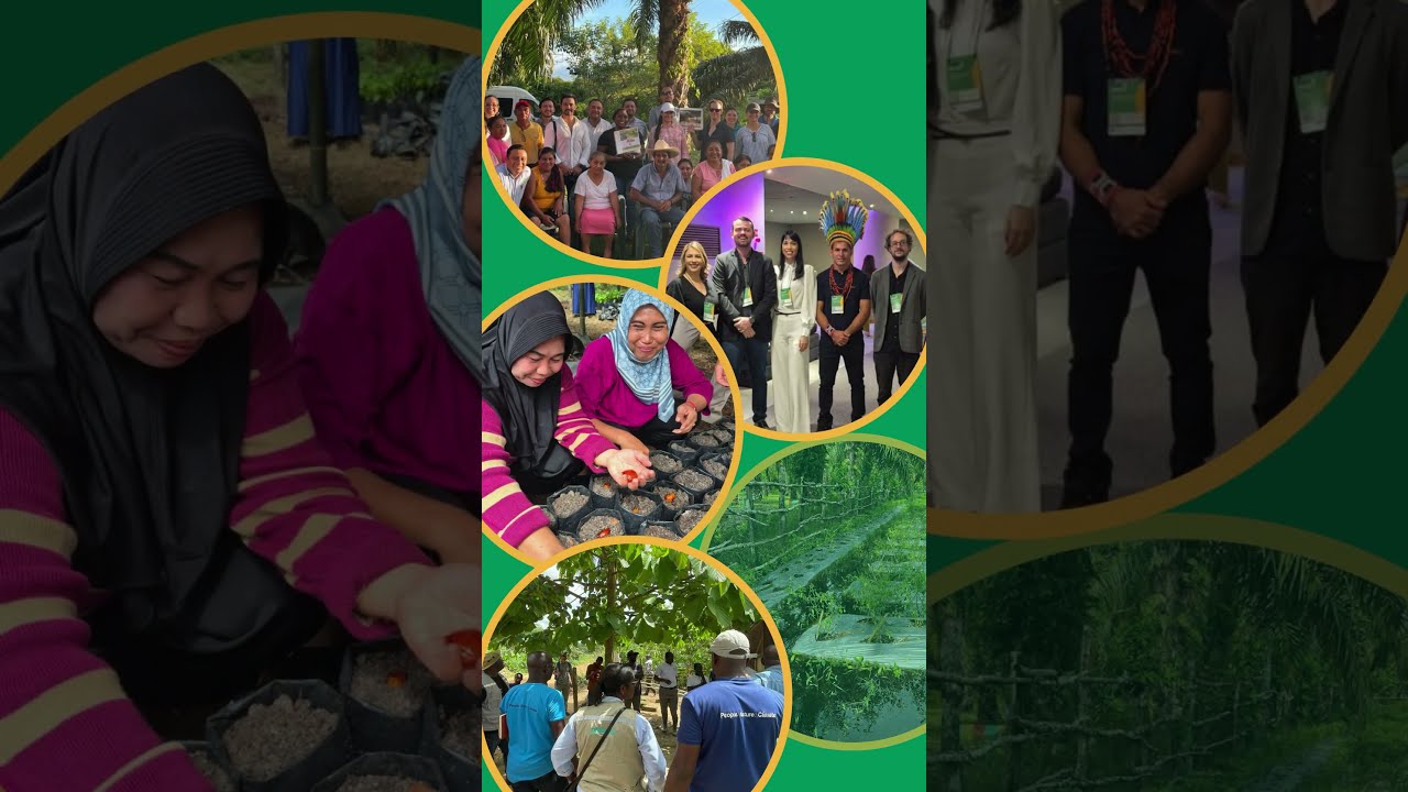 Proforest: 2025 Lookback #2025 #agriculture #resilience #sustainable #global #collaboration