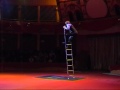 Free Ladder Circus Performer Dmitry Bondarev