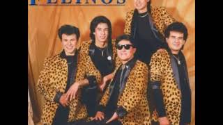 Lapiz Labial Mánchame  - Los Felinos