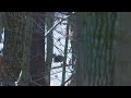 Hunting For Big Mountain Buck PA Rifle Deer Hunting