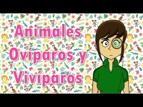  - Animales Ovíparos Y Vivíparos
