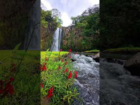 Cascada el Chorreron San Fernándo Morazán. #naturaleza #elsalvador