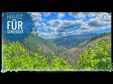 TOP Harz Tour - Das Ilsetal mit Froschfelsen und Ilsestein - inkl. GPS Daten