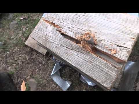 12 gauge slugs Royal MG vs Royal Star