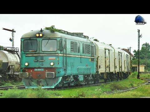 Trenuri CFR MARFĂ în Orașul Beiuș 🚂🚂 CFR MARFĂ Cargo Trains in Beiuș - 2019 & 2020