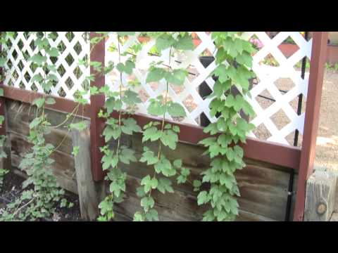 Happy HBW July 11, 2012