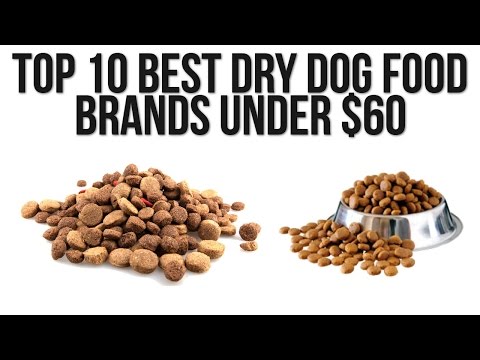 Top 10 Best Dry Dog Food Brands under $60