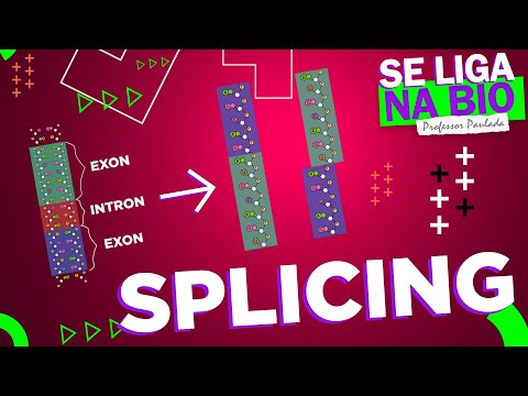 O mecanismo de SPLICING | Prof. Paulada