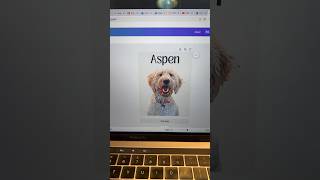 Create a pet portrait on Canva!! Canva tutorial