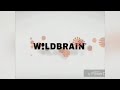 Wildbrain 2014