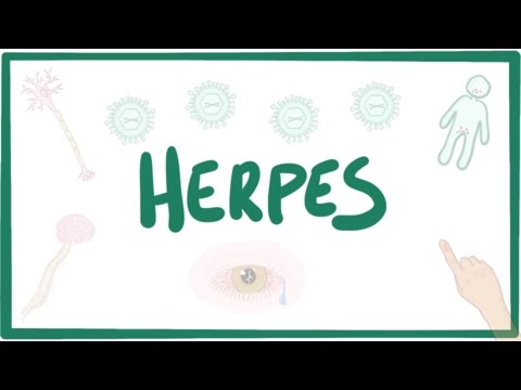 Herpes labial et papillomavirus