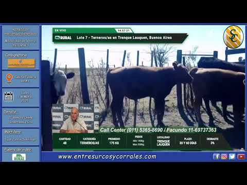 01-03-21 - Remate por Internet de Lanusse Santillán Consignatarios - Capital Federal