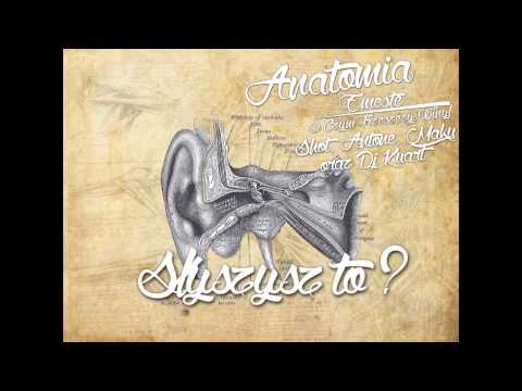 11. Emeste x O.C.T.W - Słyszysz to? feat. Shot, Maku, Antone, Dj Kuart prod. Kuzyk (Anatomia LP)
