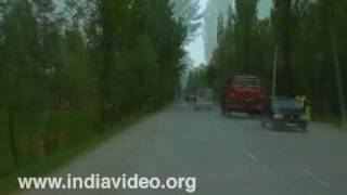 On the way to Srinagar from Gulmarg 