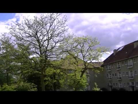 MongoTV_444 - Del 1 - Fede John Gør Sig Klar Kl 15.30 At Cykler Over Og Spise Frokost Pizza