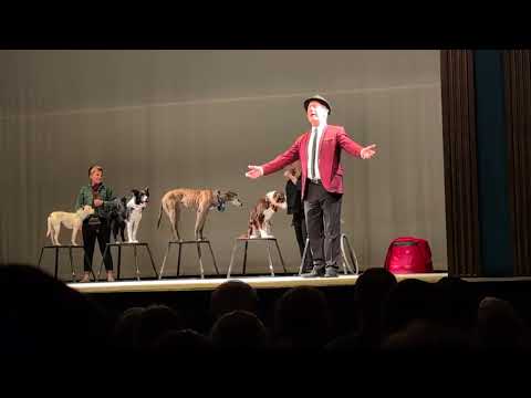 Mutts Gone Nuts video three