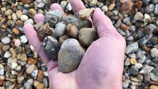 sjösten gul 16-32 mm