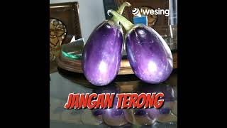 Download lagu JANGAN TERONG LANGGAM JADUL mp3