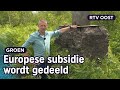 Hoe werk je samen met Duitsers om veen te herstellen? | RTV Oost
