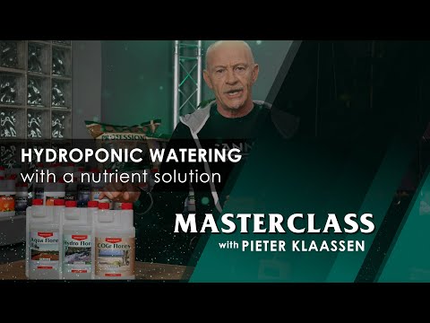 CANNA Masterclass – Hydroponic Watering