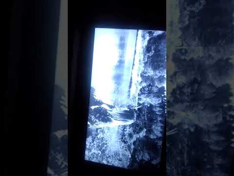 Mis notas de la primera evaluación