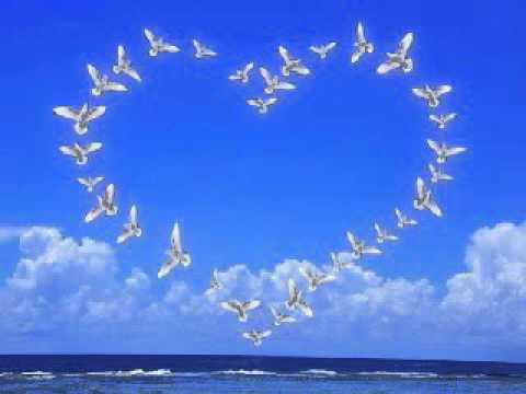 download lagu mp3 mp4 Building Skills For The Toefl Ibt Pdf, download lagu Building Skills For The Toefl Ibt Pdf gratis, unduh video klip Building Skills For The Toefl Ibt Pdf