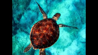 10 Interesting Scientific Discoveries for January 2026