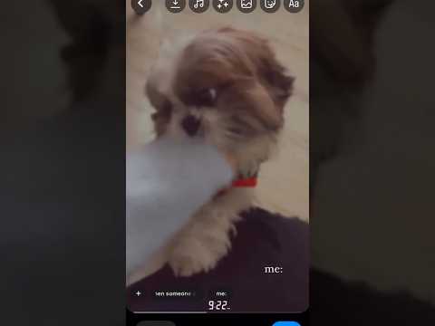 my whole heart 😍❤️