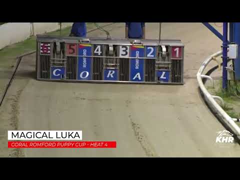 Magical Luka - Coral Romford Puppy Cup Heat 4