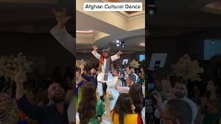 Download lagu Afghan Jalebi || Afghan Groom on Fire || Afghan Bride and Groom || Beautiful Bride #song #wedding mp3