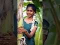 Chinna Chinna Sethi Solli Song Kutty Vadivelu And Sobi What S App Status