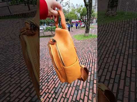 百搭後背包--(有影片)