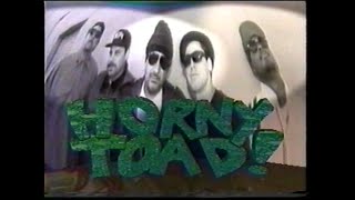 HORNY TOAD!