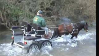 preview picture of video 'Harry in harness - horse meets a JCB.'