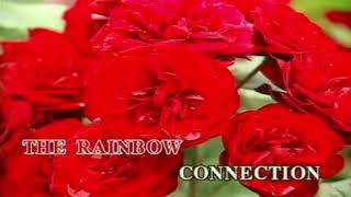 Rainbow Connection (Minus one)