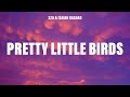SZA Pretty Little Birds Lyrics Ft Isaiah Rashad