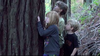preview picture of video 'San Vicente Redwoods - A Promise of a Protected Landscape'