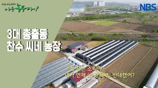 [정가(家)네 가족의 로메인 로맨스] 가족의 반대를 뛰어넘은 도전~!