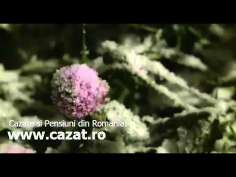 Cazare Mosneni, Constanta - Cazat.ro