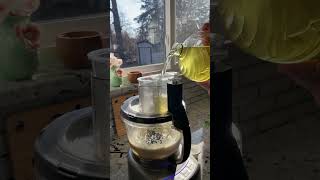 Download lagu Middle Eastern garlic sauce #garlicsaucerecipe #food #LebaneseFood #GarlicRecipe #GarlicSauce #FYI mp3