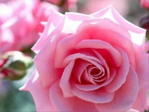 Esa Mujer video