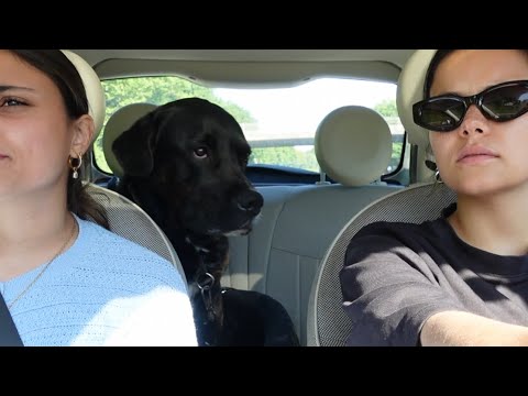 WHAT A SON OF A BITCH