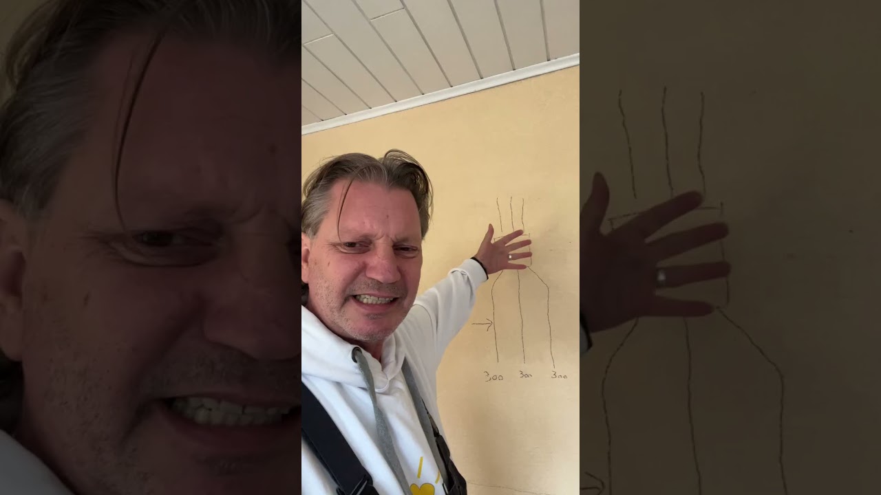 Du bedienst mit einem Balkonkraftwerk nur eine Phase - 2 Balkonkraftwerke als PV-Anlage anmelden