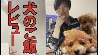【ほのぼの】２匹の犬のご飯を紹介して食べます