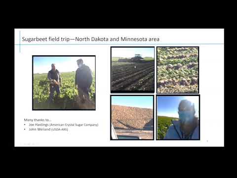 Sugarbeet Research Reporting Session - January 12, 2021 - Session 3