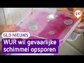 GLD Nieuws 12 september 2023
