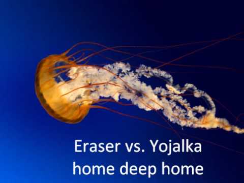 Eraser vs. Yojalka - Home deep Home (lord of the liverdance 2006)
