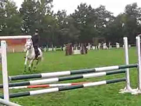 Sternbergs Silver Sam 4jährig Lehrgang Grünberg