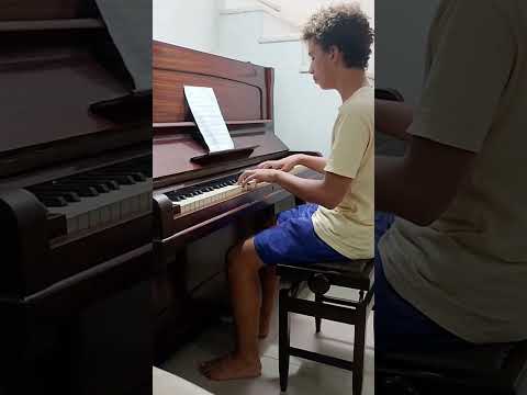 Chopin - Prelude in E Minor #piano #musica #pianomusic #music #chopin